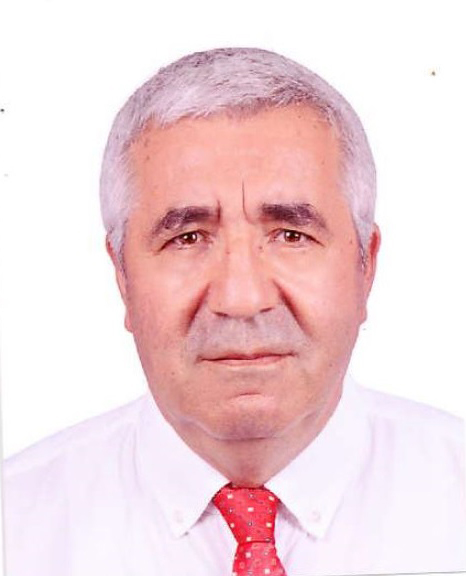 Prof. Dr. Salim ŞENGEL